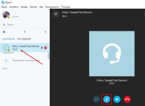 Solving the problem with the microphone in Skype Which microphone format is better for Skype
